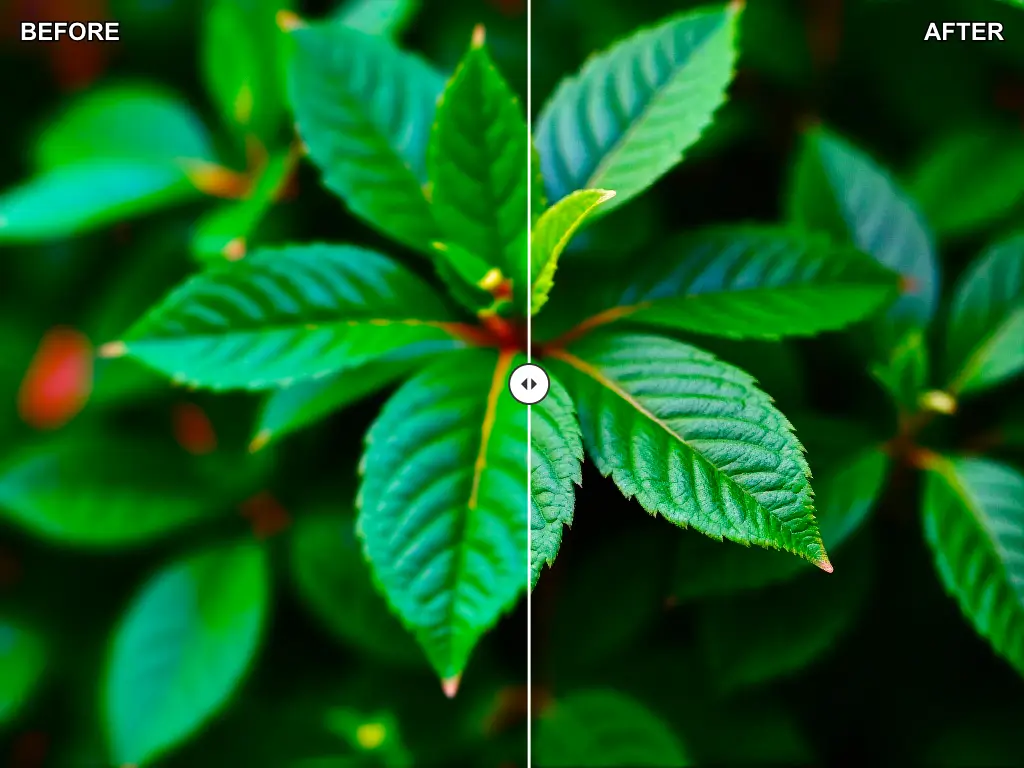 image enhancer example 1